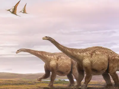 Argentinosaurus 3D (Rigged) 3D model