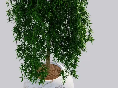 Gorgo Vase Design 3Dmodel Free 3D model