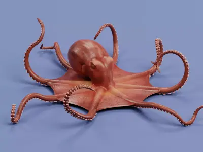 -Giant Pacific Octopus Rigged and Animated- 3D model