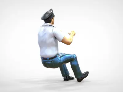 N2 Truck or Bus Driver 3D print model