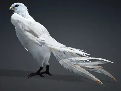 Hawk-A1 3D model