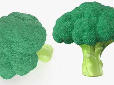Whole Raw Broccoli Floret Green 3D model