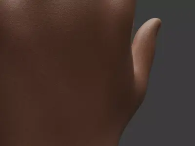 Realistic Hand Model 3D model