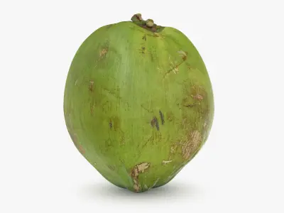 Green Coconut Collection 1 3D model