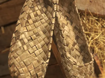  Hanging Worn Bast Shoes 