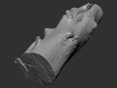 Tree trunk wood ZBrush engraving highpoly 3D model