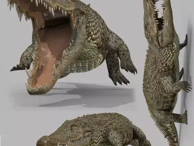 Crocodile PRO - 8K 3D Animated Crocodile Model   3D model