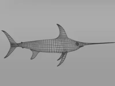 Swordfish marlin Low-poly 3D model purchase
