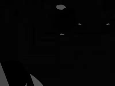 Furry 2B Nie 3D model