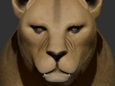 Lioness lion 3D model purchase