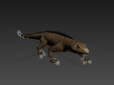 animated reptile lizard Low-poly 3D model