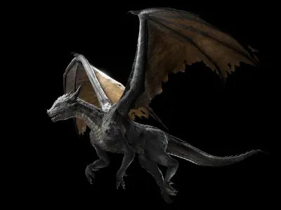 Fantasy Dragon Low-poly 3D model