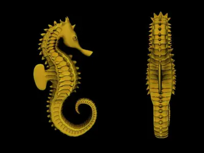 Rainbow Seahorse Collection 3D model