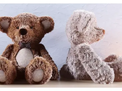 Teddy Bear 3D model buy