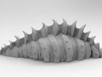 Rare Viking  Sea Shell 3D print model
