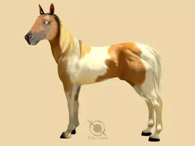 Horse 3D model 2