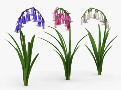 Bluebell Plants Set Mixed 3D model