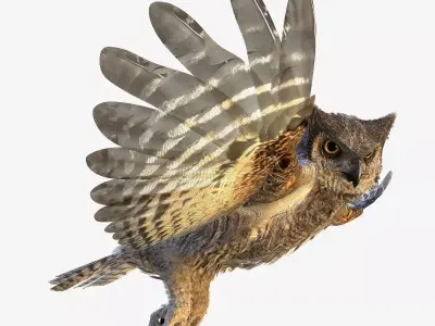 Great Horned Owl - rigged - animated - PBR - VRAY - Standard 3D model
