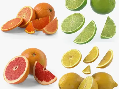  Realistic Citrus Fruits Collection 