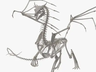 Dragon Skeleton Posed  purchase 3D model