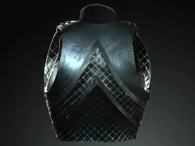 DT2 - Monkey King - Body Armor-01 3D model