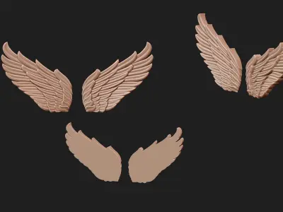 wings 01 3D model