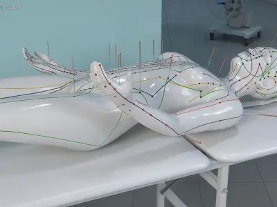 Female Acupuncture Mannequin on the Couch 3D model