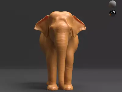 Asian Elephant - BaseMesh 3D model