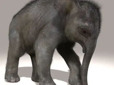 Elephant Calf (ANIMATED) (FUR) 3D model