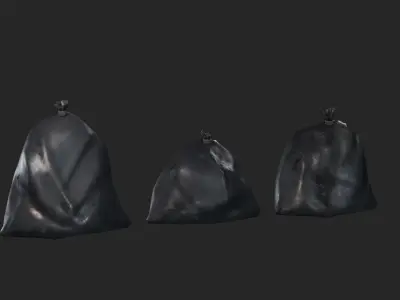 Realistic Garbage Bag 3D Model  Low-poly 3D model