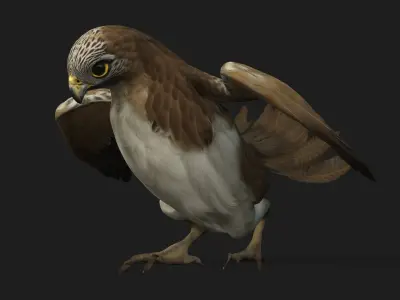 Kestrel B4 3D model