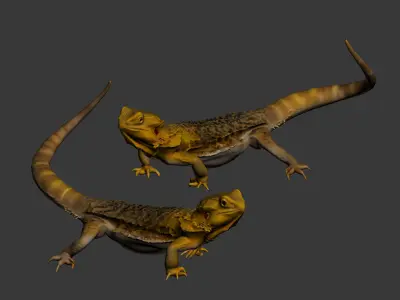 Lizard 3D model buy