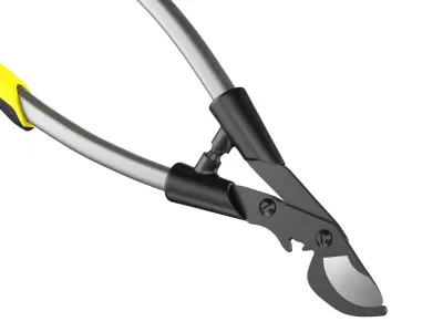 Bypass Lopper 3D model