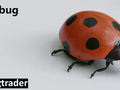 Ladybug 3D model purchase