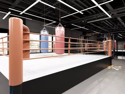 Boxing Gym Low-poly 3D model buy