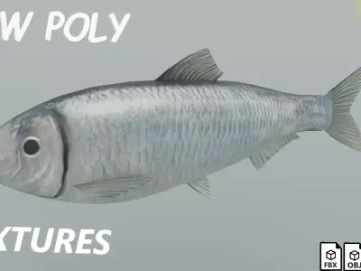 tulka fish Low-poly 3D model
