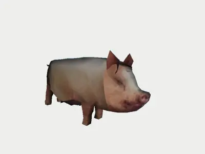 Pig from the farm 3D model