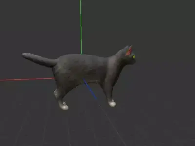 Cat reality Free low-poly 3D model
