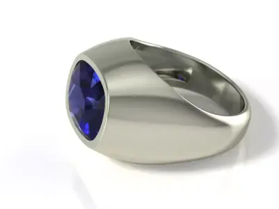 Cushion ring  3D print model