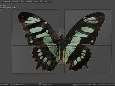 butterflies animation Low-poly 3D model