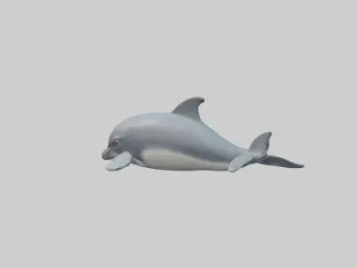 Sleeping Dolphin Model Low-poly 3D model