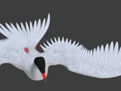 Arctic Tern Bird Game Ready Model Unreal Engine  3D model