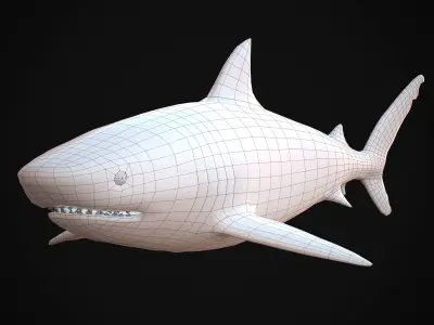 Tiger Shark Low-poly 3D model order