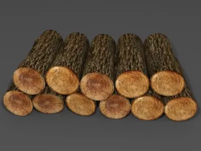Wooden Logs Low-poly 3D model purchase