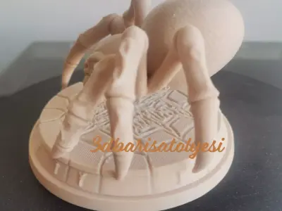 Akkurt 3D model