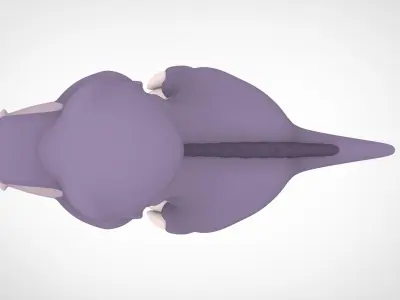 Chomper  3D model