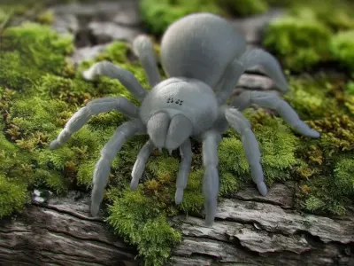 Tarantula Spider Rigged Xgen 3D model