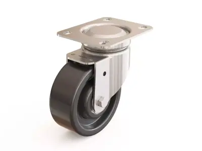 Castor 13 01 3D model