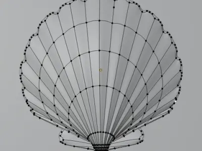 Shell seashell Free 3D model