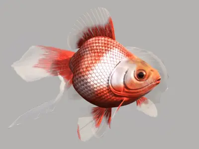 Goldfish Low-poly 3D model get